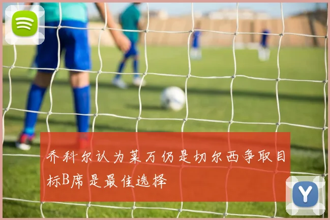 乔科尔认为莱万仍是切尔西争取目标B席是最佳选择