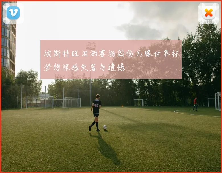 埃斯特旺泪洒赛场因伤无缘世界杯梦想深感失落与遗憾