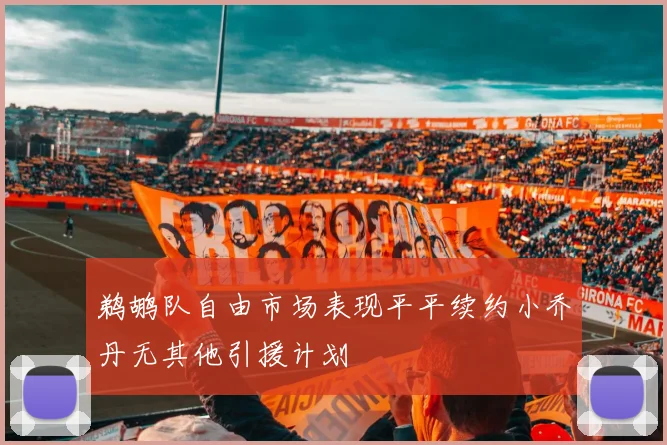 鹈鹕队自由市场表现平平续约小乔丹无其他引援计划